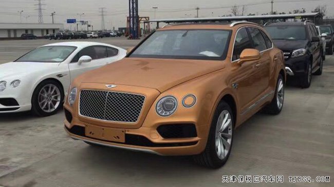 2017ԽSUVŷ 6.0T W12ֳݻ