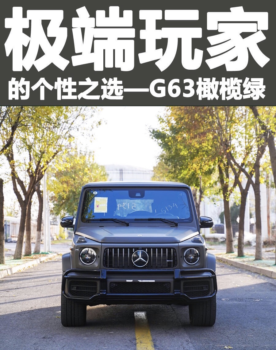 极端玩家的个性之选,奔驰G63
